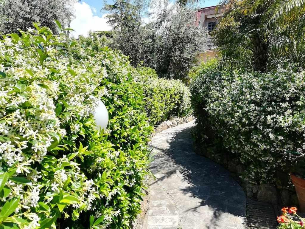 福尔米亚Casa Dinky Attico Con Terrazza Vista Mare公寓 外观 照片